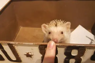 น่ารักมาก