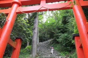 Une longue ascension