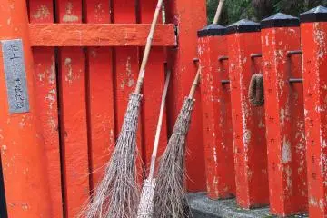 Gros plan sur les balais