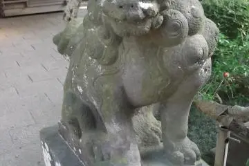 Gallery image