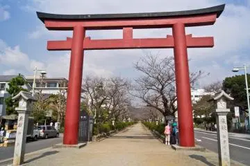 Gallery image
