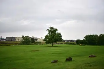 Along the Miomote River