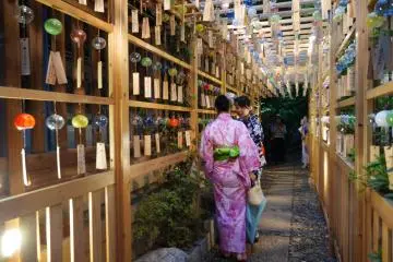 More colorful furin are illuminated by the night lights