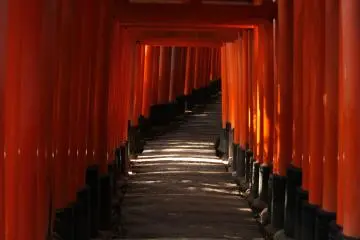Santuario Fushimi Inari Taisha
