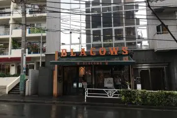 Blacows in Ebisunishi