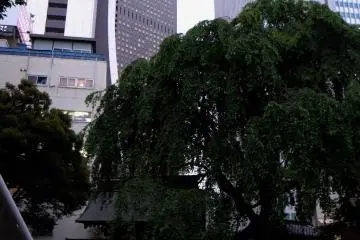 Sleepy courtyard overlooked by 200m skyscrapers