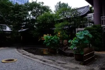 The amount of green is refreshing