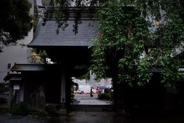 Looking back out onto the street