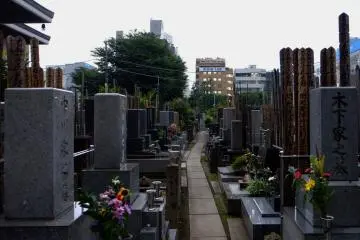Narrow walkways between rows of graves