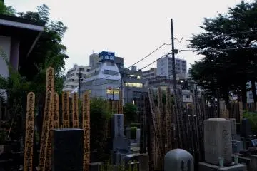 A forest of sotoba