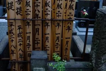 Close-up of sotoba