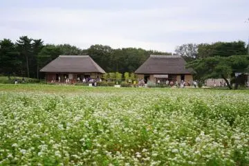 <p>Rumah Tradisional Jepang. Mereka seringkali mengadakan kelas pemekaran di sini.</p>