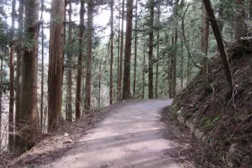 The Trial to Jigokudani Yaen Koen