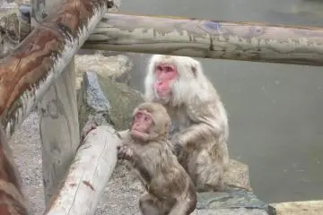 Now, jump!