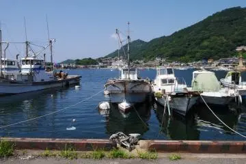 The water and greenery are beautiful on such a clear day
