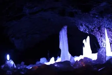 Beautiful shapes and colors