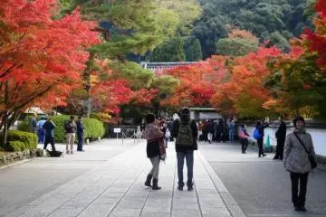 Photo: <a href="http://th.japantravel.com/%E0%B9%80%E0%B8%81%E0%B8%B5%E0%B8%A2%E0%B8%A7%E0%B9%82%E0%B8%95/%E0%B8%97%E0%B8%B4%E0%B8%A7%E0%B8%97%E0%B8%B1%E0%B8%A8%E0%B8%99%E0%B9%8C%E0%B8%A4%E0%B8%94%E0%B8%B9%E0%B9%83%E0%B8%9A%E0%B9%84%E0%B8%A1%E0%B9%89%E0%B8%A3%E0%B9%88%E0%B8%A7%E0%B8%87%E0%B8%97%E0%B8%B5%E0%B9%88%E0%B8%A7%E0%B8%B1%E0%B8%94-eikando/23330" target="_blank" rel="noreferrer noopener nofollow">Mandy Bartok</a>