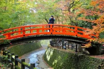 Photo: <a href="http://th.japantravel.com/%E0%B9%80%E0%B8%81%E0%B8%B5%E0%B8%A2%E0%B8%A7%E0%B9%82%E0%B8%95/%E0%B9%80%E0%B8%AA%E0%B9%89%E0%B8%99%E0%B8%97%E0%B8%B2%E0%B8%87%E0%B9%80%E0%B8%A1%E0%B9%80%E0%B8%9B%E0%B8%B4%E0%B9%89%E0%B8%A5%E0%B8%97%E0%B8%B5%E0%B9%88%E0%B8%A8%E0%B8%B2%E0%B8%A5%E0%B9%80%E0%B8%88%E0%B9%89%E0%B8%B2%E0%B8%84%E0%B8%B4%E0%B8%97%E0%B8%B0%E0%B9%82%E0%B8%99%E0%B8%B0-%E0%B9%80%E0%B8%97%E0%B9%87%E0%B8%99%E0%B8%A1%E0%B8%B1%E0%B8%99%E0%B8%81%E0%B8%B8/29954" target="_blank" rel="noreferrer noopener nofollow">Mandy Bartok</a>