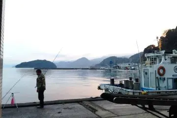 Ine Fishing Port – an authentic counter point to Tsukiji Markets