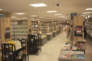 Gallery image