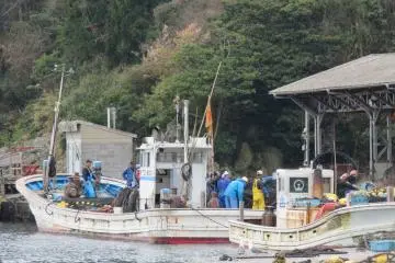 It may be hard work on the fishing boats, but now with only one regular fishing boat based here, the lack of competition has meant that they get pretty good quality catches