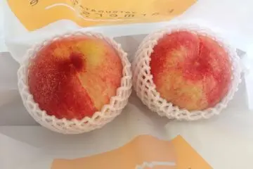 We bought delicious peaches