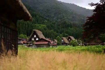 Gassho-styled thatch roofed houses