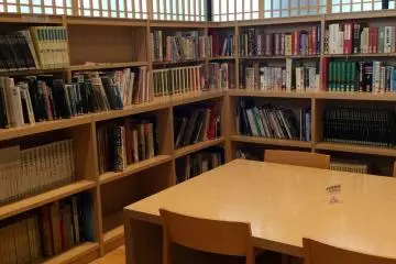 Study area