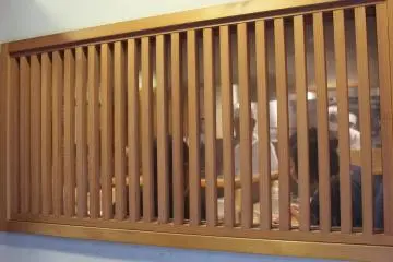 Through the window