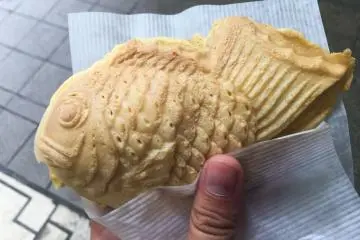 Close-up of taiyaki
