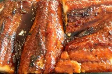 Belut unagi yang dioles dengan kecap manis pada nasi