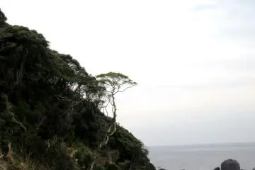 Desolate yet beautiful