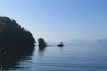 Hutan-hutan kuno menyentuh bibir pantai di Teluk Ine