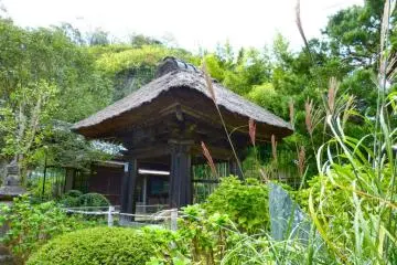 The thatched roof of the bell hall