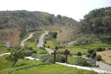 Well maintained paths and gentle slopes of Tsumekizaki Park