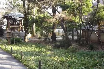 The grounds are very green
