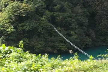 Monkey Bridge
