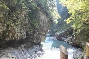 Sarutobi 