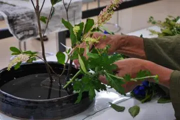Constructing an arrangement takes patience and a sharp eye