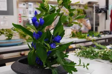 A beautiful, finished ikebana arrangement