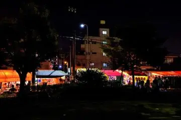 Walk home through the park