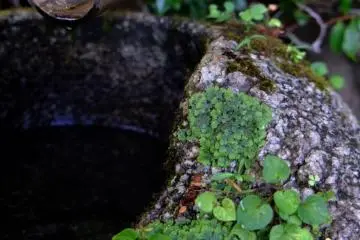 Tiny water spout