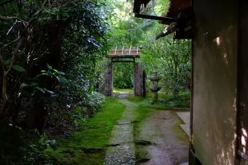 Round the back