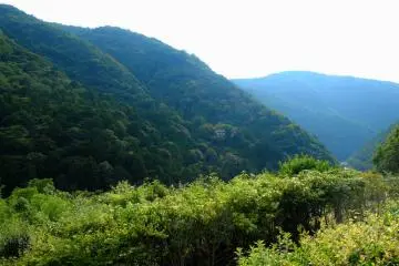 Views one one side...