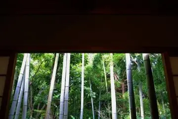View from the teahouse