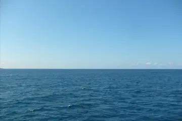 Bonjour la grande bleue