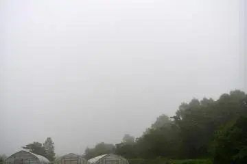 Misty day brings work indoors