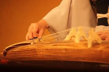 El Koto, un arpa japonés.