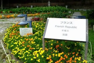 French garden was the only place I saw many flowers