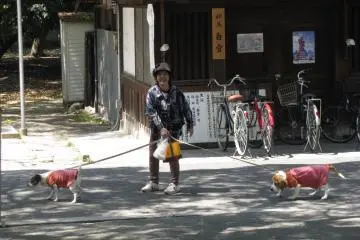 Those dogs didn't keep together!